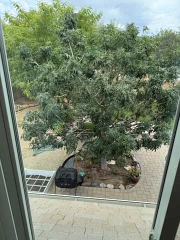 One of the many views into rear yard from upstairs loft bedroom