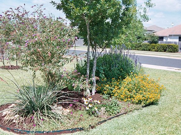 Landscape Front