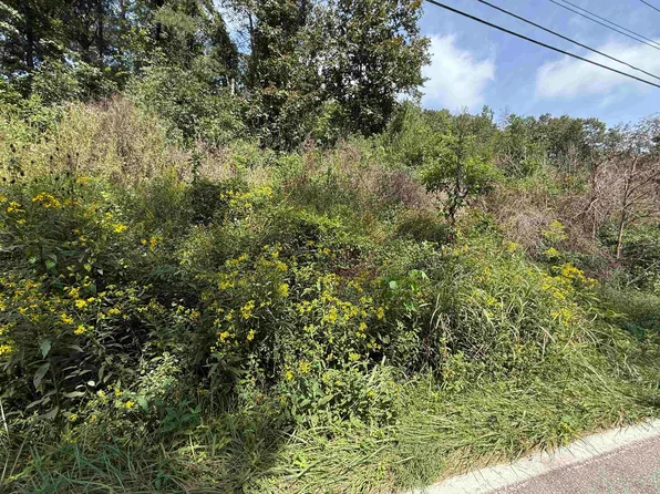 0 E Mud River Rd, Milton, WV 25541