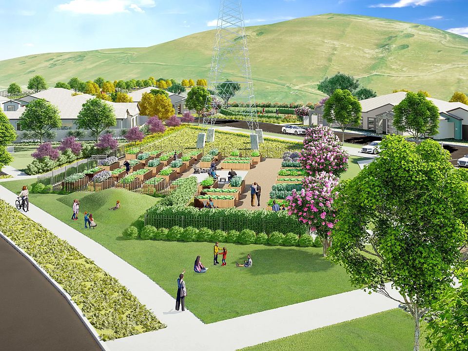 The Meadows Community Garden Rendering