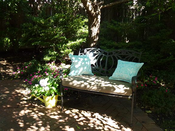 back yard