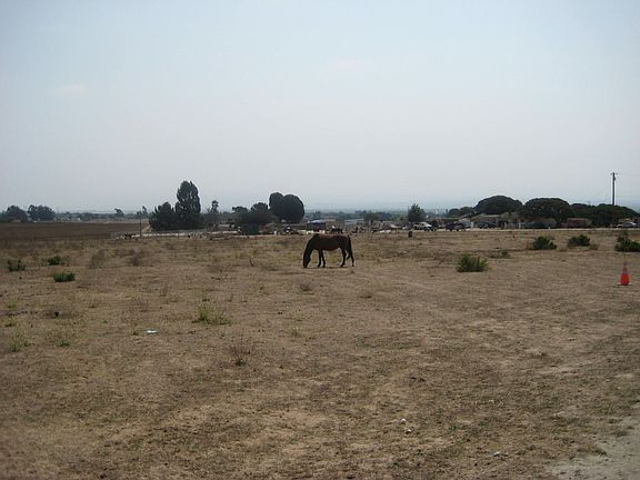 10 Flate Useable Acres