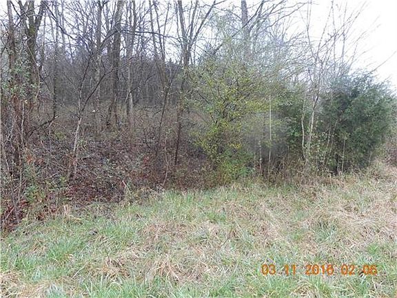 5th image of 1625 Ewing Ln