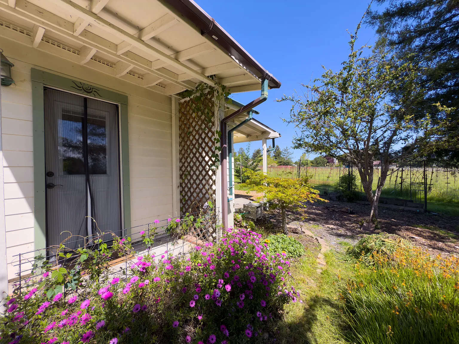 1 bed, 800 sqft, $2,000 — Photo 4