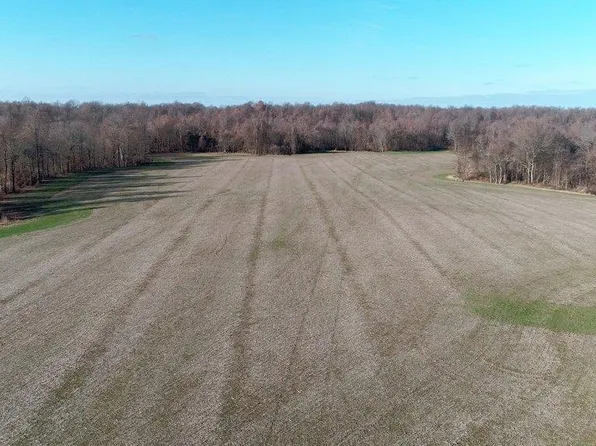 0 County Road 1220, Bardwell, KY 42023