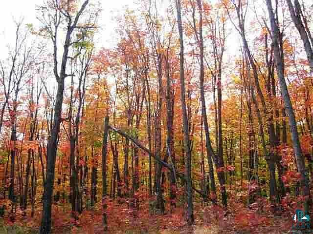 1st image of lot 3 Black Woods Dr