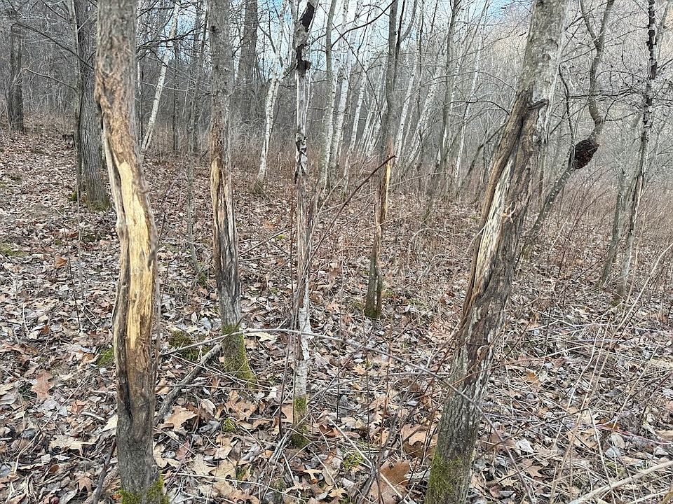 1st image of W1310 Earney Rd