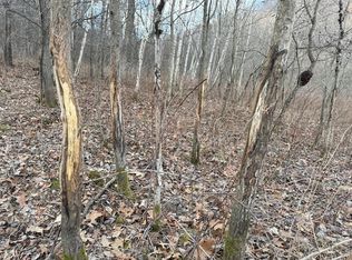 W1310 Earney Rd, Alma, WI 54610