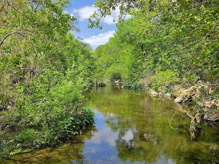 The Creek — Photo 38