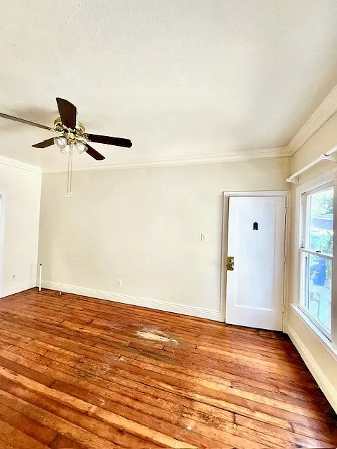 Studio, 550 sqft, $1,675 — Photo 3