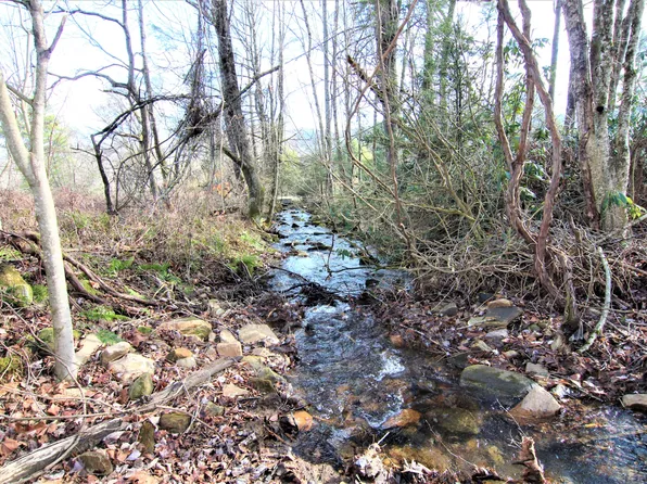 0 Orchard Rd, Shady Valley, TN 37688