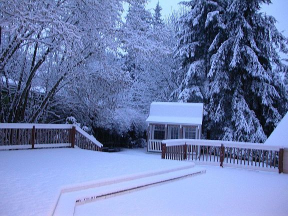 Backyard coverd in Snow