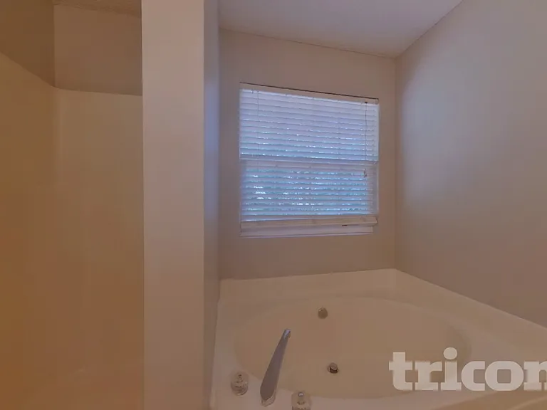 222 Amelia Creek Way — Photo 10