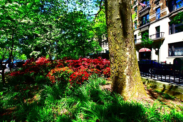 Rented by Keller Williams NYC | media 17