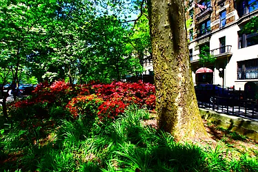 Rented by Keller Williams NYC