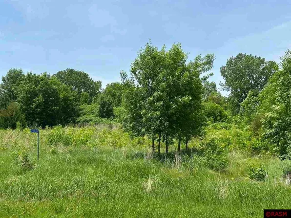 29036 Biehn Dr, Madison Lake, MN 56063