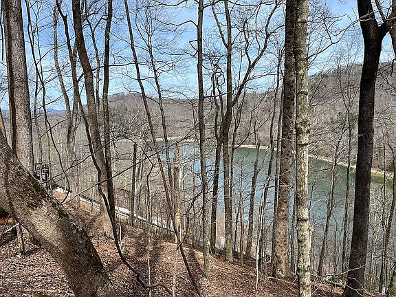 North View of Build Site