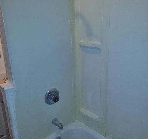Tub Shower Day