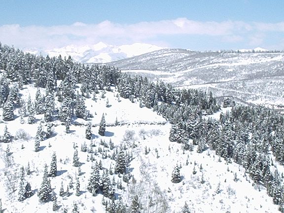 3rd image of 40 Matterhorn Ter