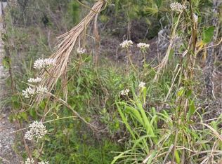 0 44th St NE, Naples, FL 34120