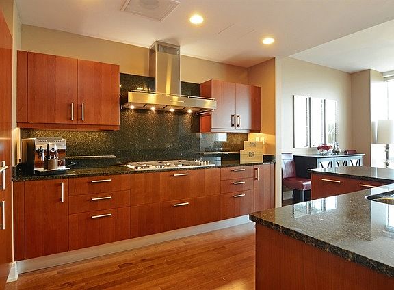 4th image of 401 N Wabash Ave Unit 53F