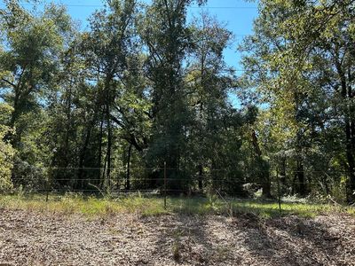 95 Barnes Rd, Gordon, AL, 36343