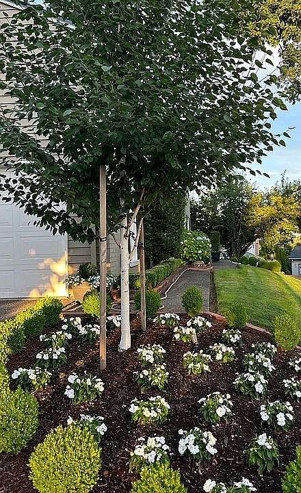 2nd image of 2252 Lois Ln