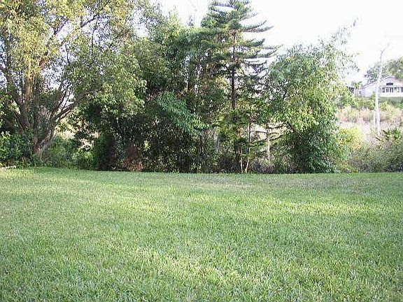 Back Yard View