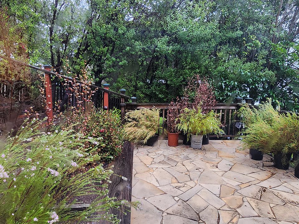 View from the laundry room window of the large Tenant Deck with plants on it that are on their way for removal for for fire prevention abatement.