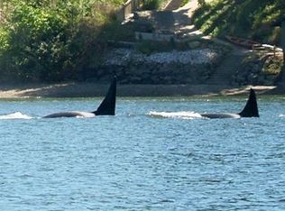 3253 SE Arcadia Rd, Shelton, WA 98584