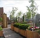 2nd image of 127 W 79th St