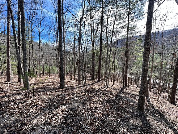 2nd image of 0 Catawba Valley Dr