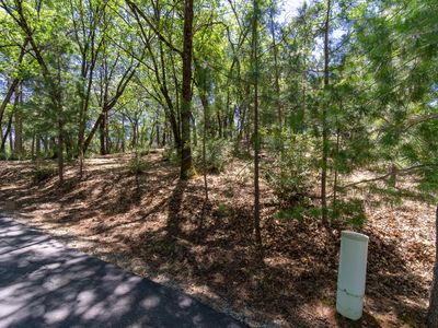 5030 Irish Oak Ln, Placerville, CA, 95667