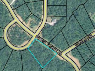 207 Forest Pointe Dr, Forsyth, GA 31029