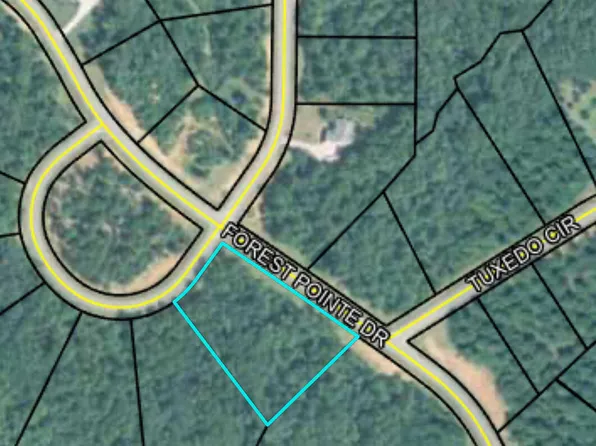 207 Forest Pointe Dr, Forsyth, GA 31029