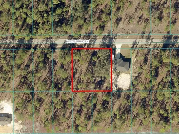 LOT 13 NW Tamarind Ln Lot 13, Dunnellon, FL 34431