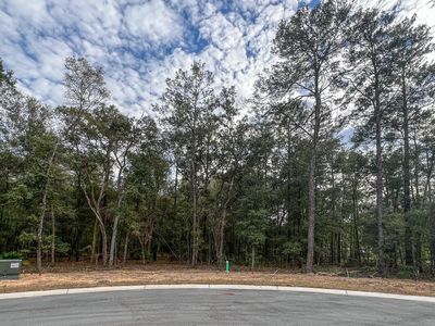 115 Yearling Ct, Niceville, FL, 32578