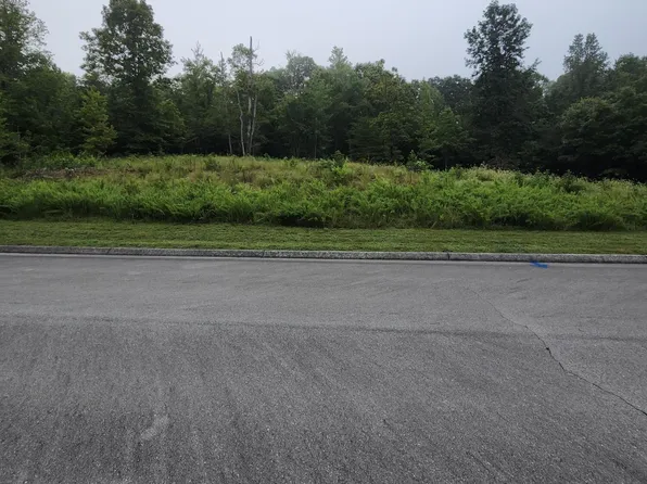 302 Caney View Dr, Harriman, TN 37748