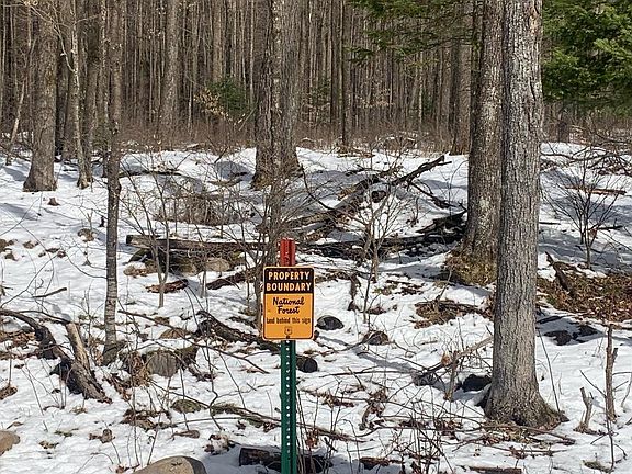 5th image of 4742 Easement Ln