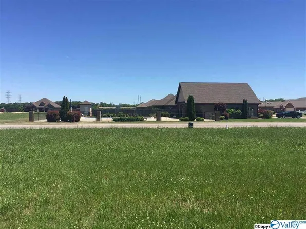 110 Owensby Way, Trinity, AL 35673