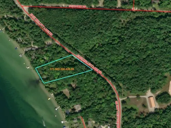 122 E Mullett Lake Rd, Indian River, MI 49749