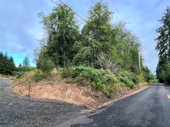 0 XXX Aldergrove Drive, Montesano, WA 98563