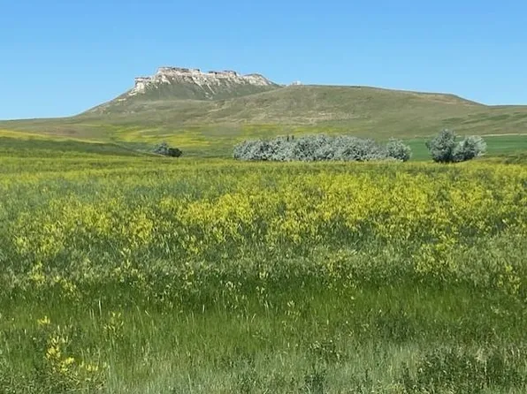 16547 State Highway 79, Newell, SD 57760