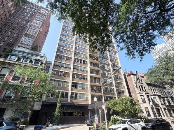 40 E Cedar St APT 11C, Chicago, IL 60611