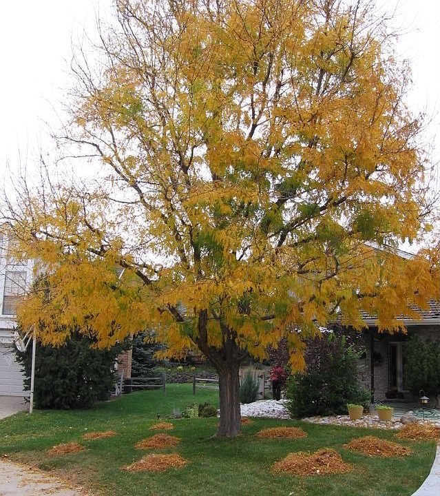 View from the street in Fall