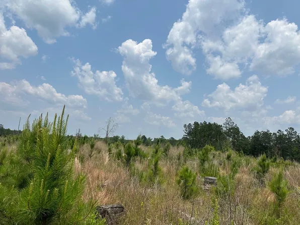 Columbia County Rd #7, Emerson, AR 71740