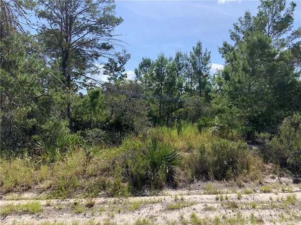 440 Keos Ave NE, Lake Placid, FL 33852