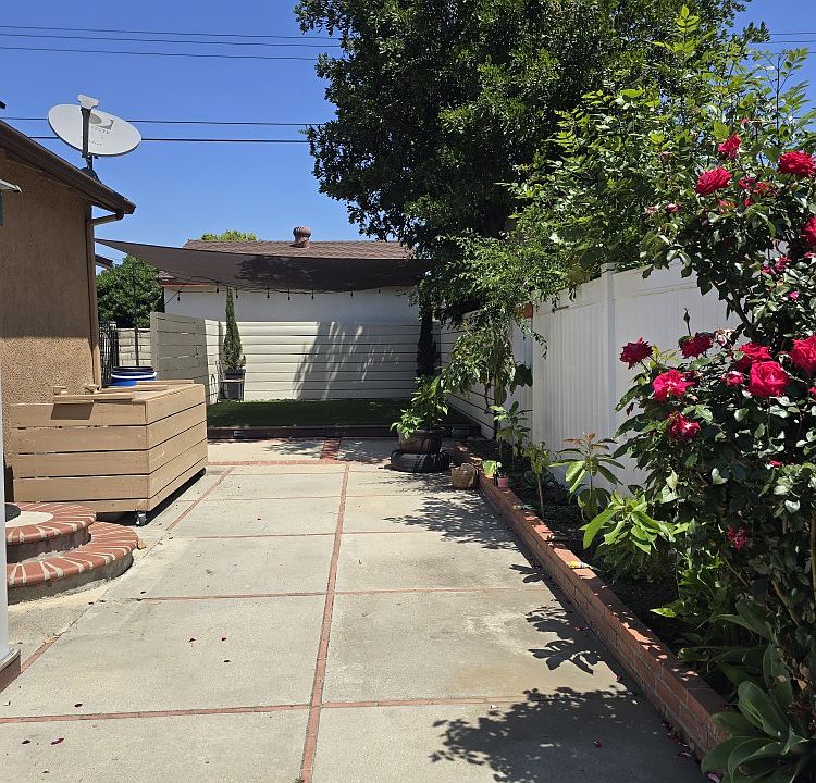 back yard