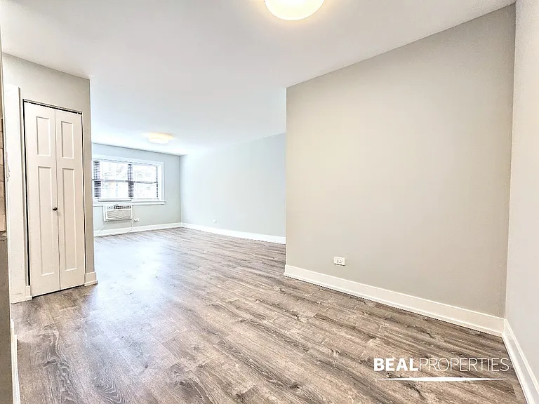 445 W Barry — Photo 61
