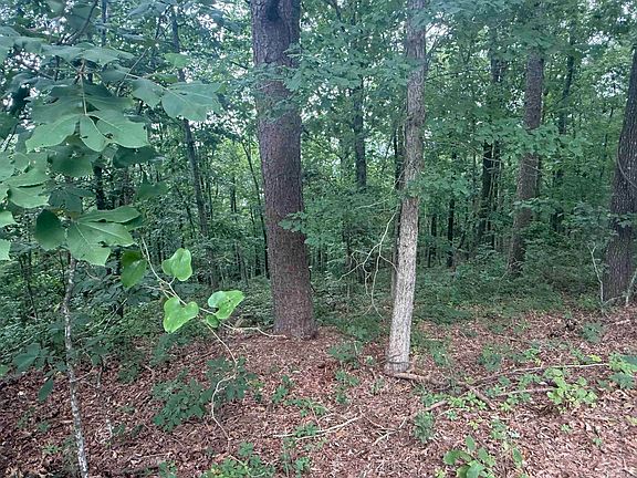 3rd image of Pine Dr